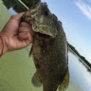 Meet your Posher, Shawn